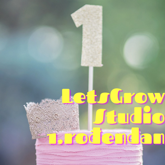LetsGrow Studio slavi svoj 1. rođendan